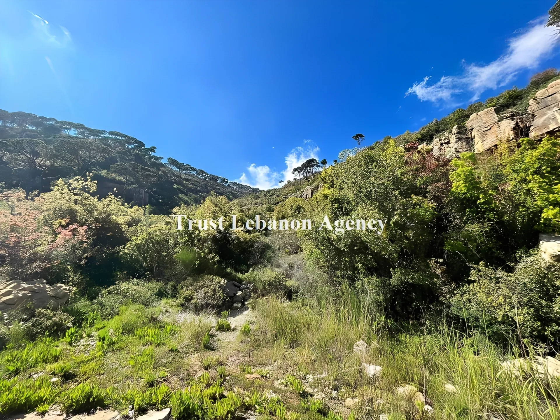 Land for Sale in Metn Al Kaakour Lebanon