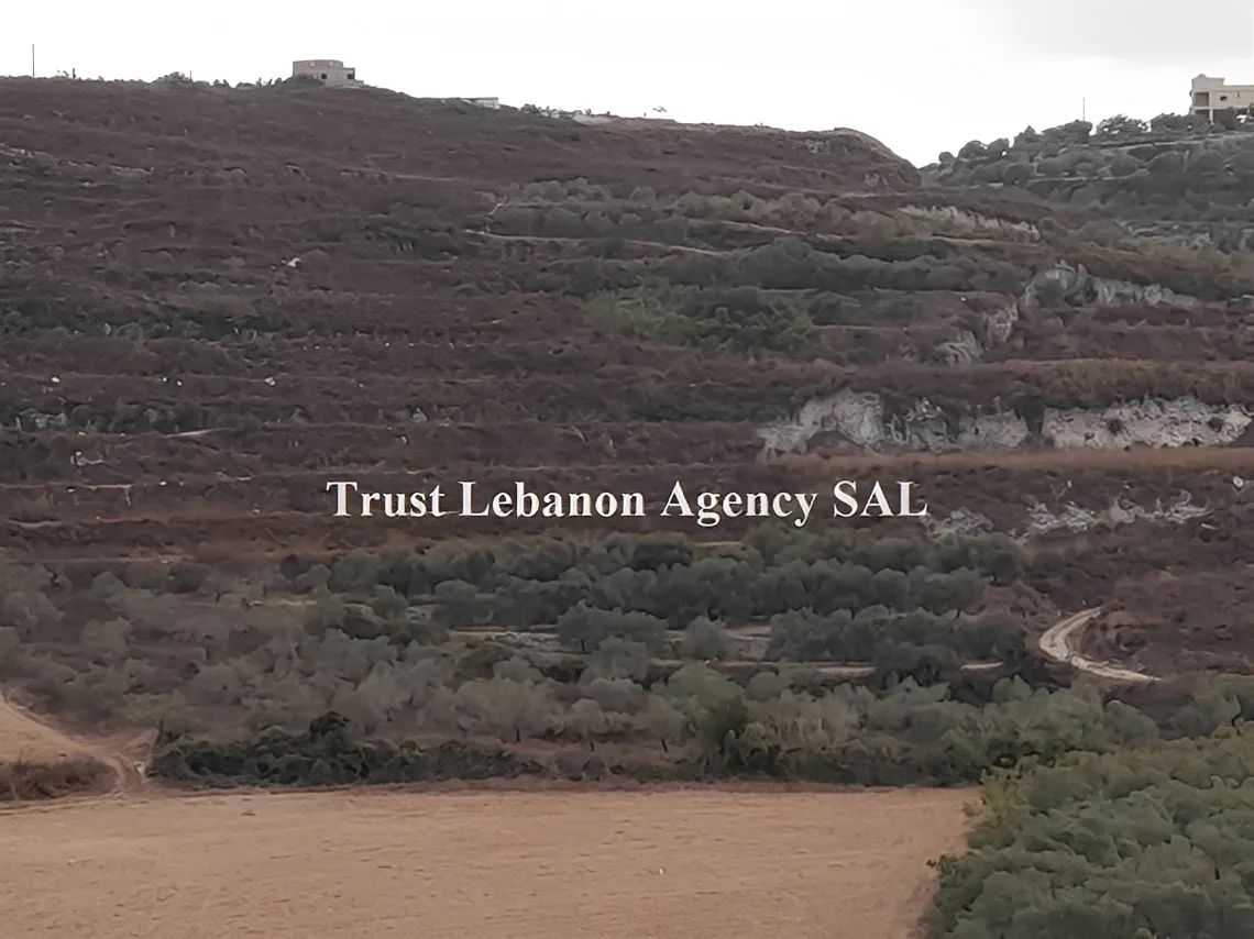 Land for Sale in Sidon