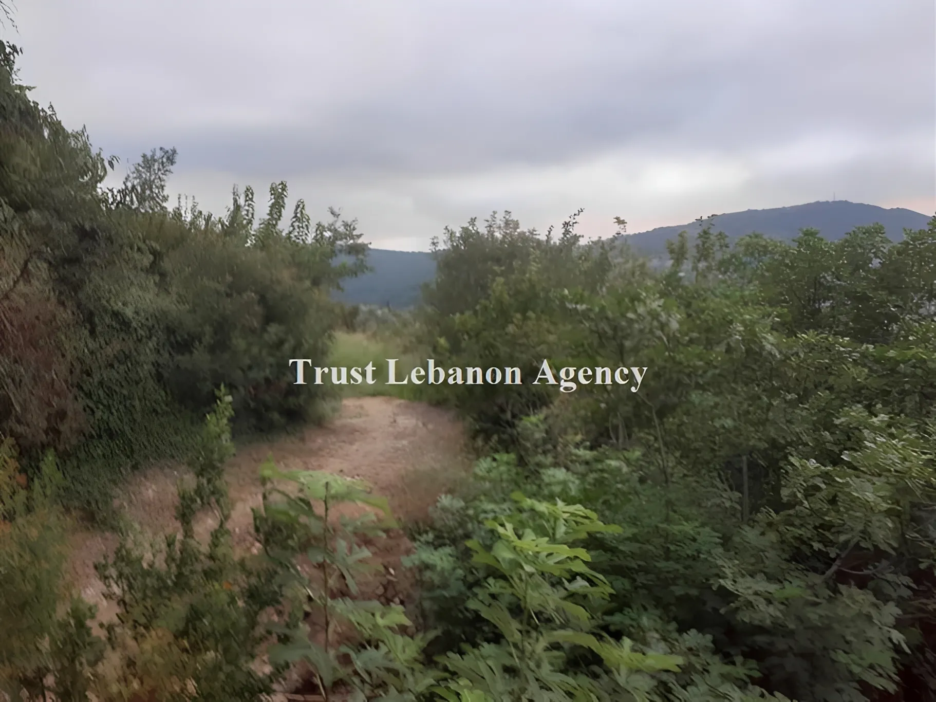 Land for Sale in Jezzine