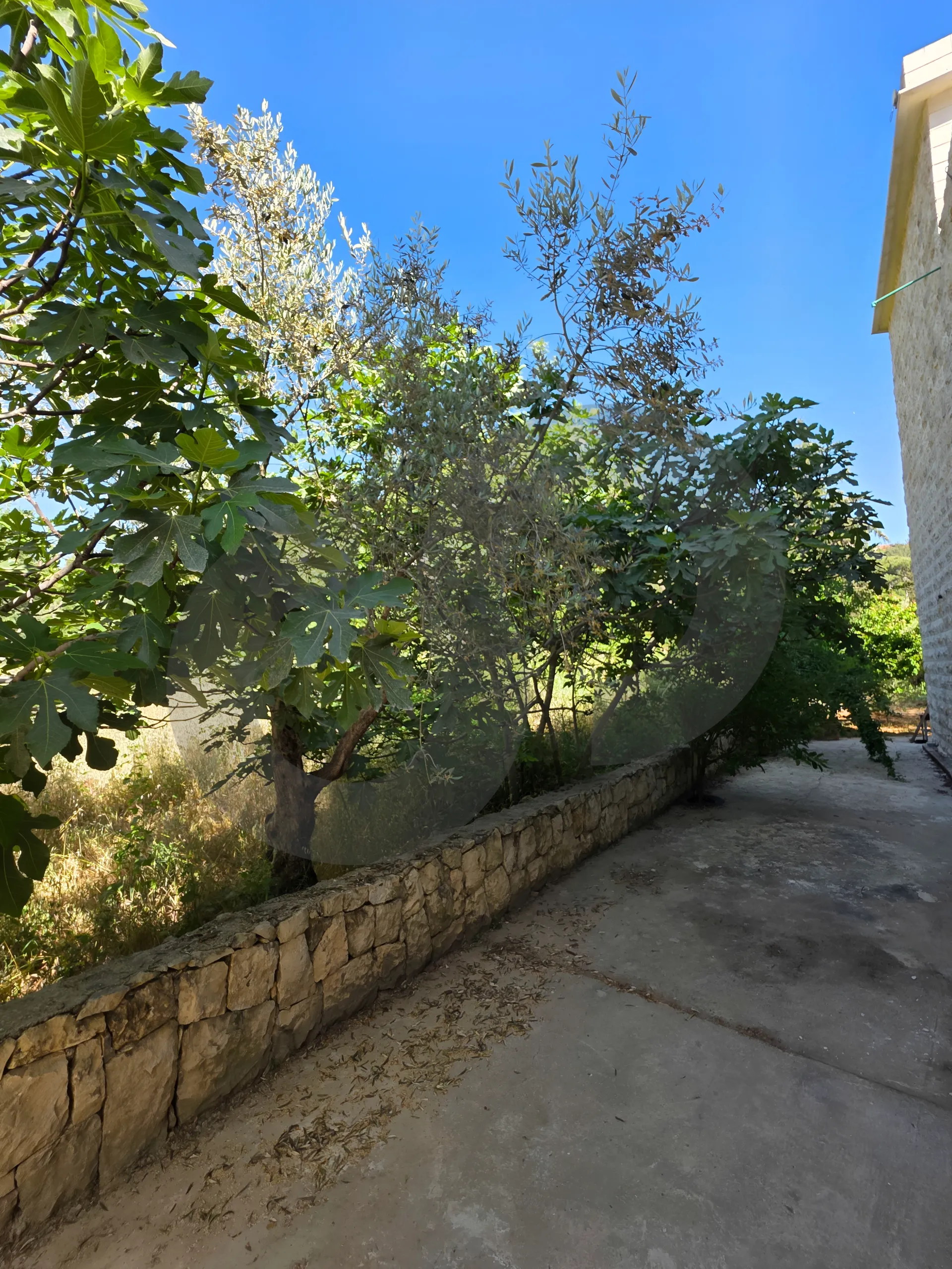 Villa for Sale in Aley