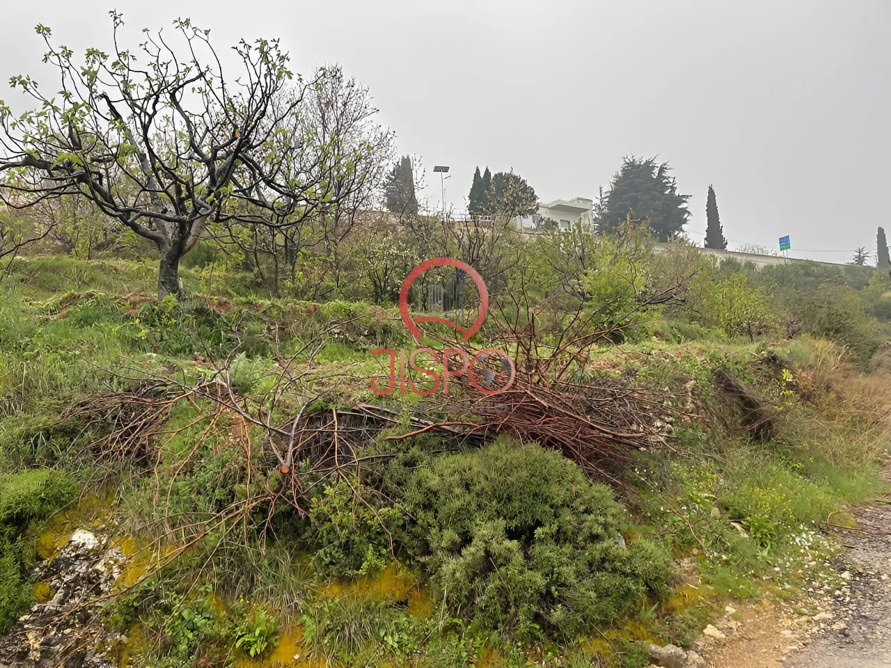 Land for Sale in Hadtoun