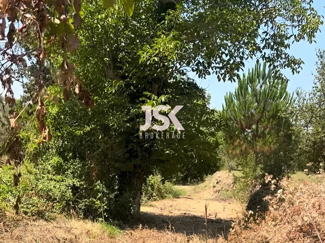 Land for Sale in Aley