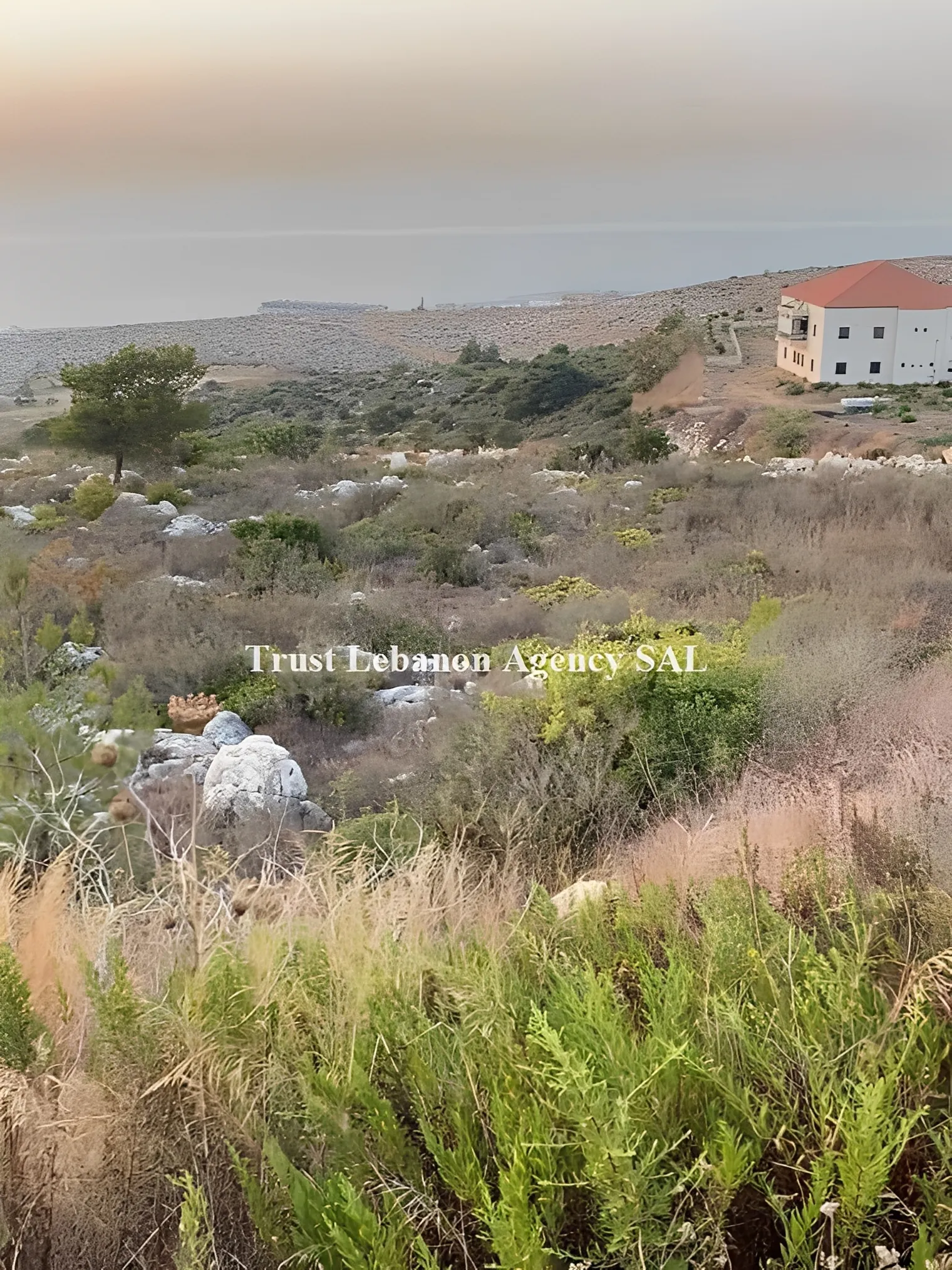 Land for Sale in Bawerta Alay