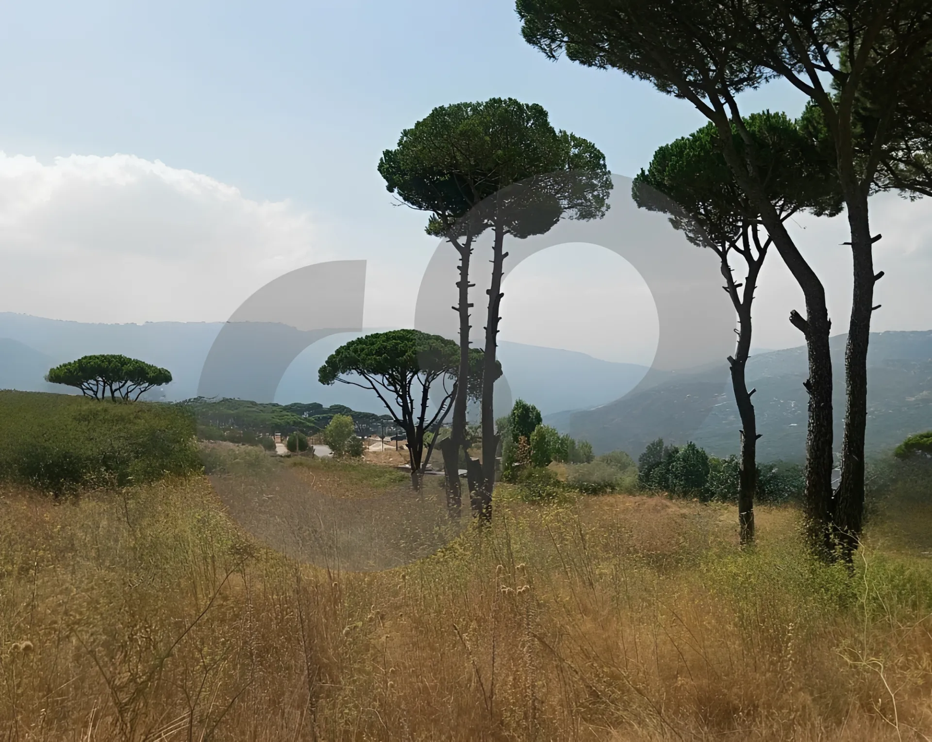 Land for Sale in Hammana