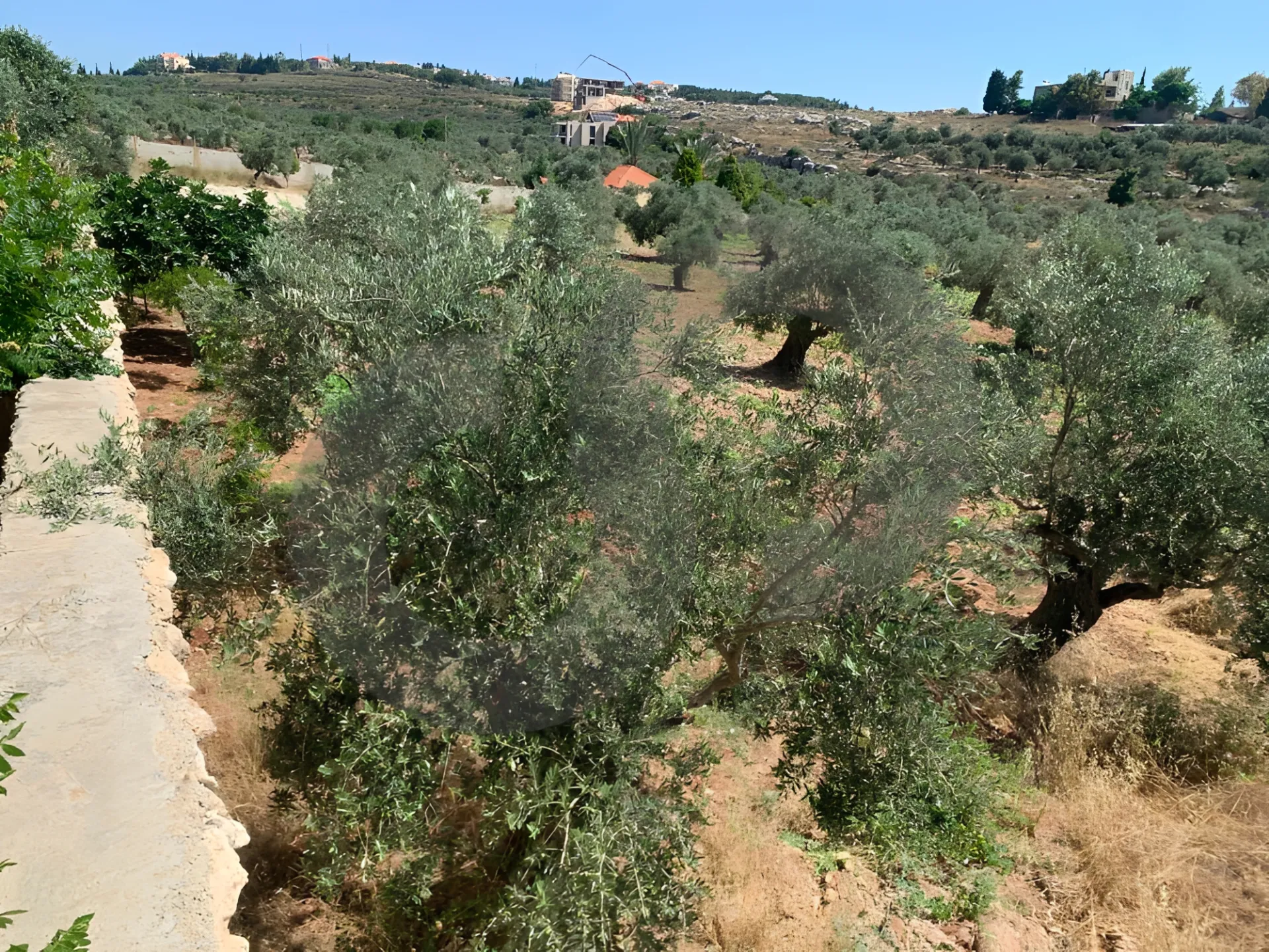 Land for Sale in Koura