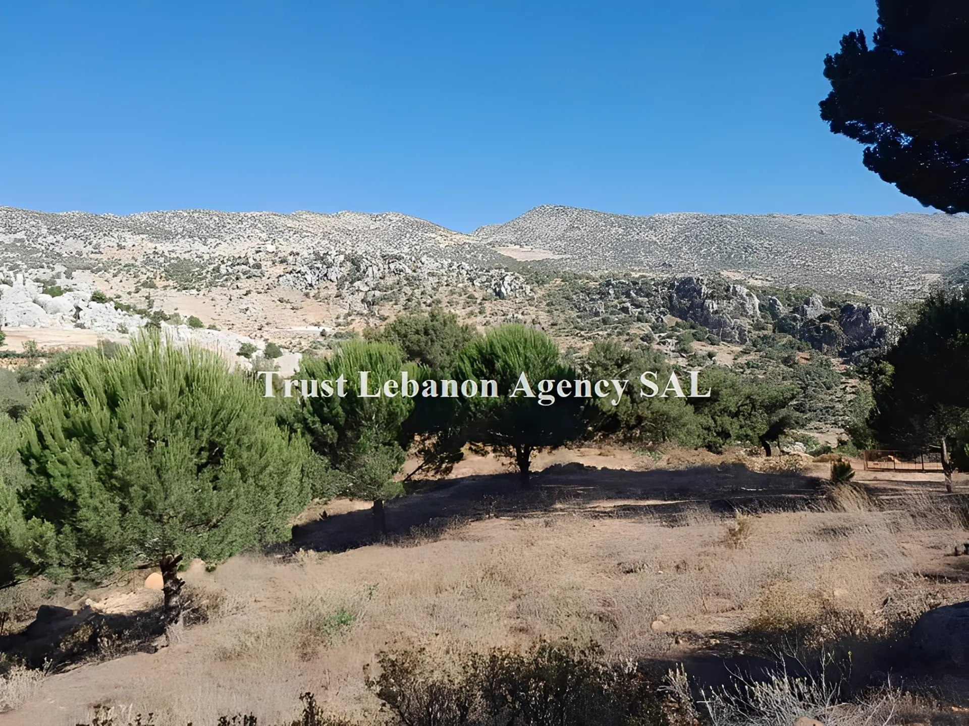 Land for Sale in Hasbaya, Al kfeir