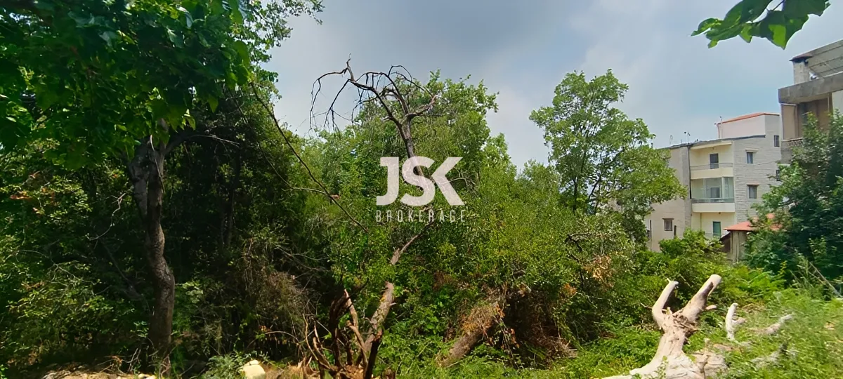 Land for Sale in Qlayaat, Lebanon