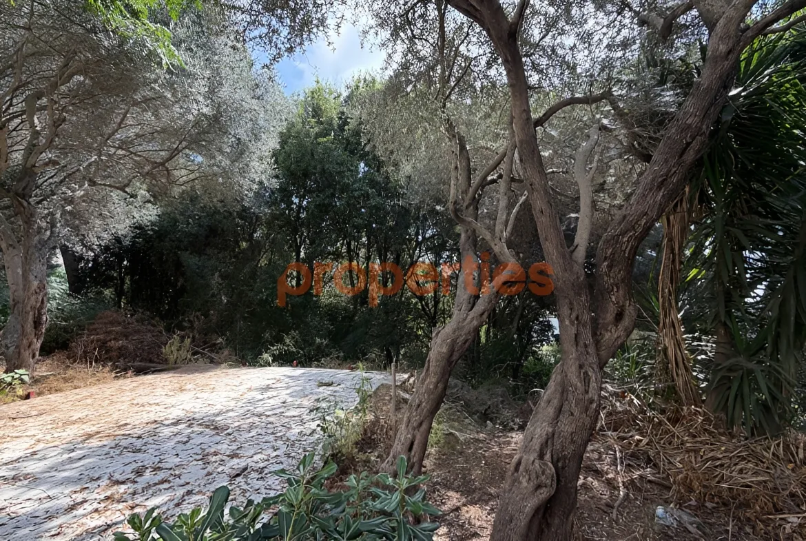 Residential Land for Sale in Ain Saadeh