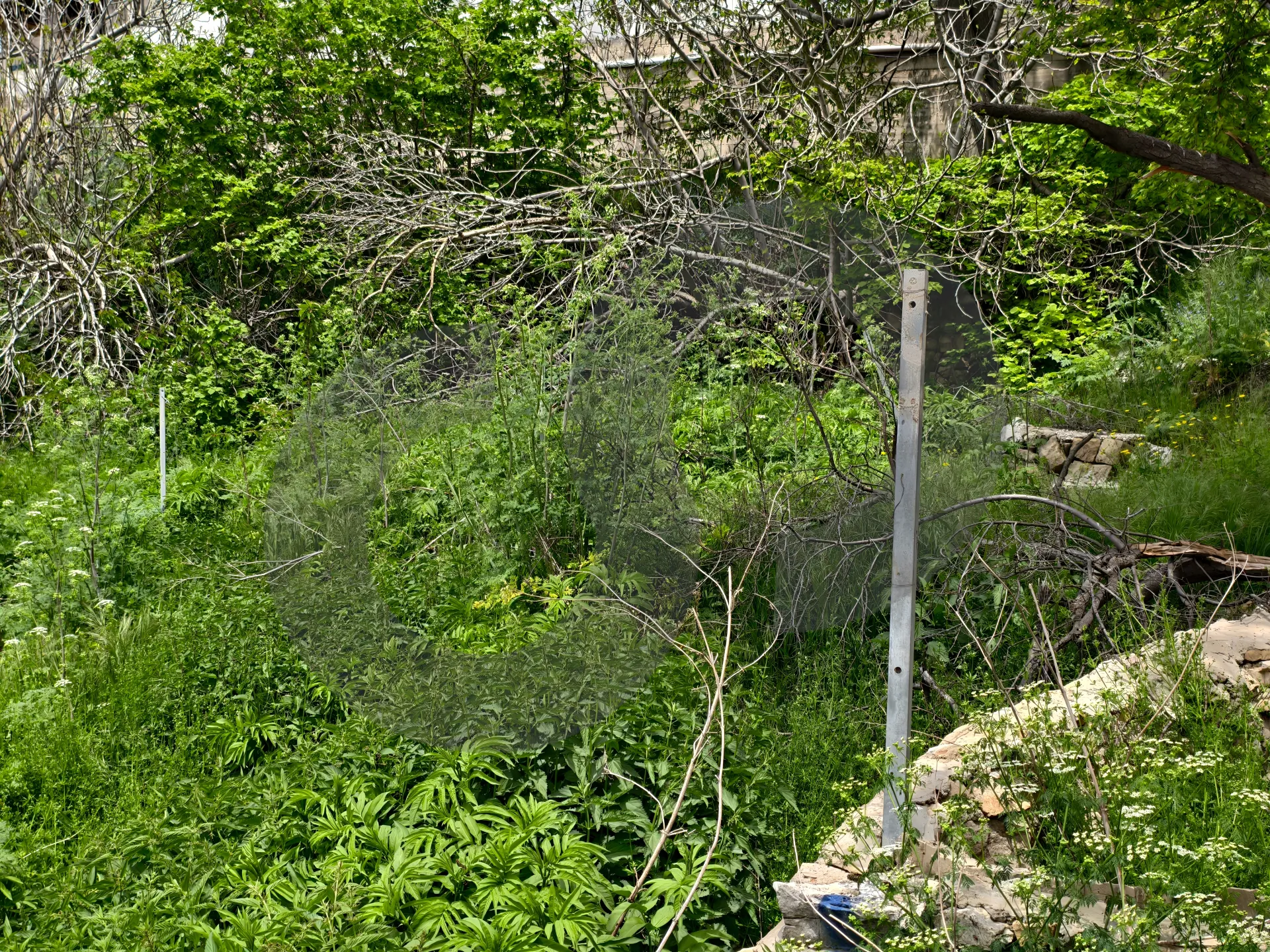 Land for Sale in Ehden