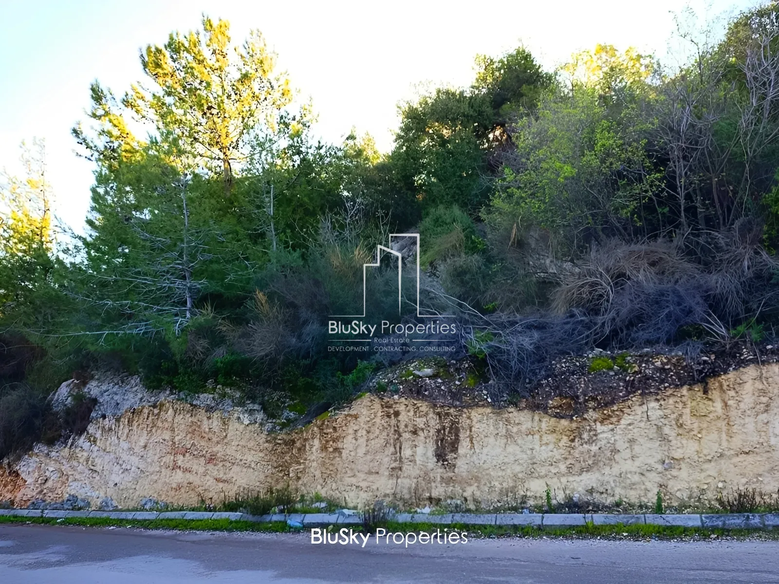 Land for Sale in Fidar