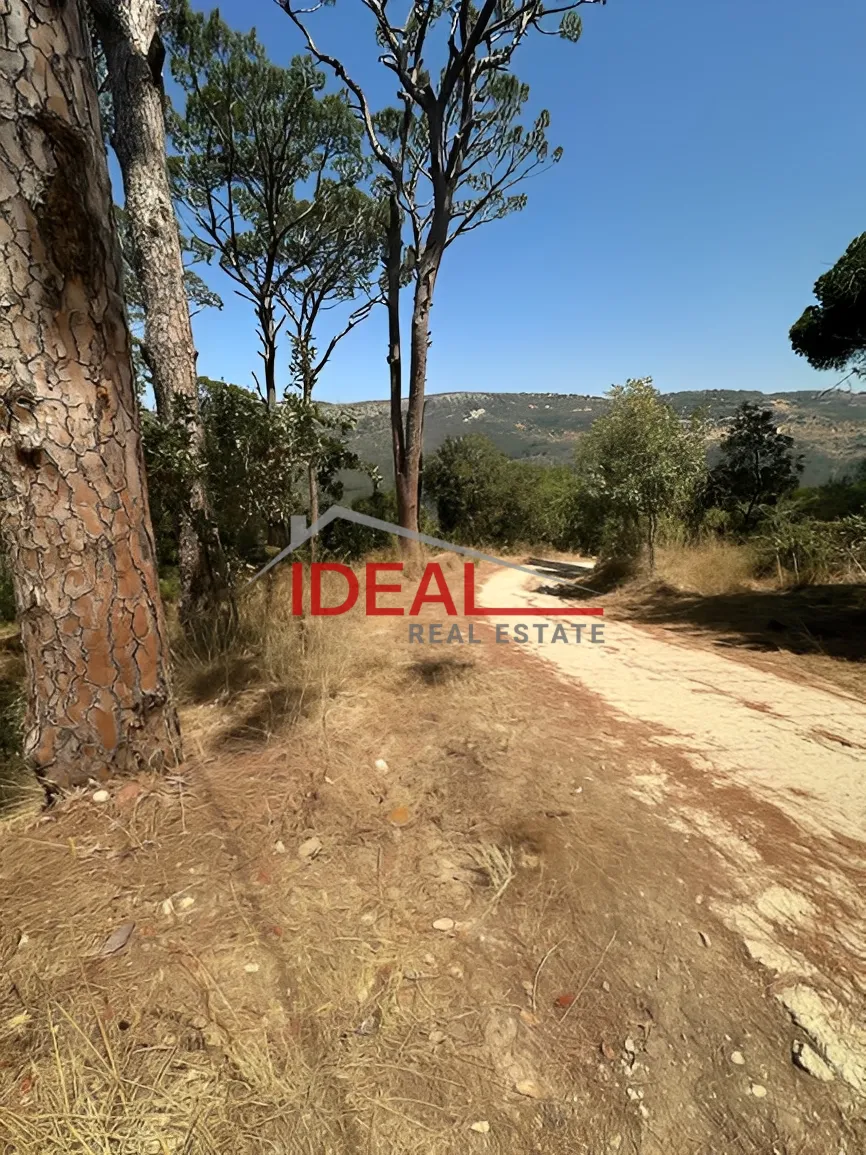 Land for Sale in Dmit, Lebanon