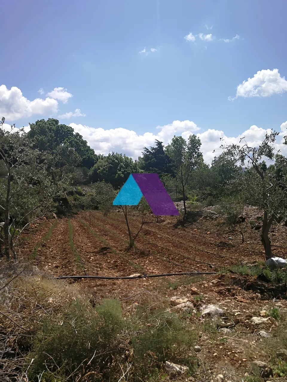 Land for Sale in Batroun