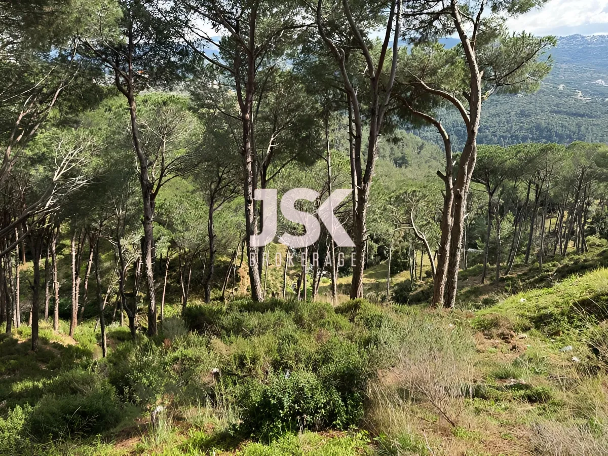 Land for Sale in Broummana, Lebanon