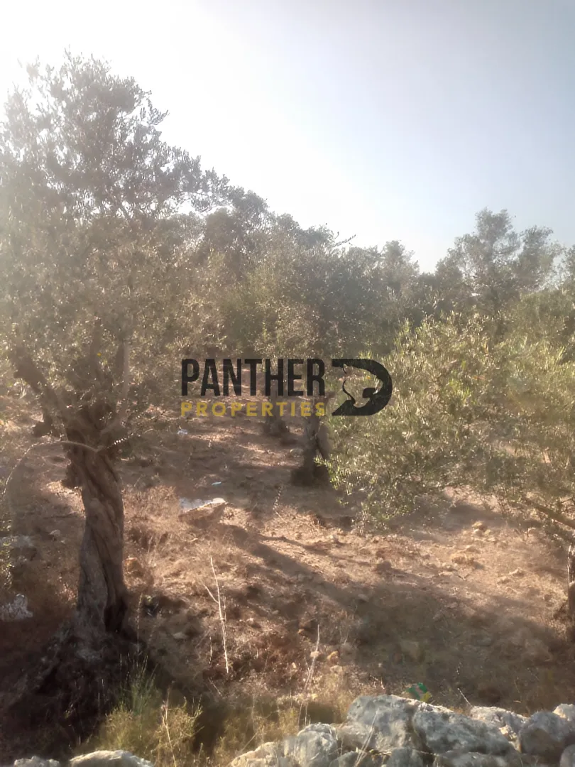 Land for sale in Anfeh