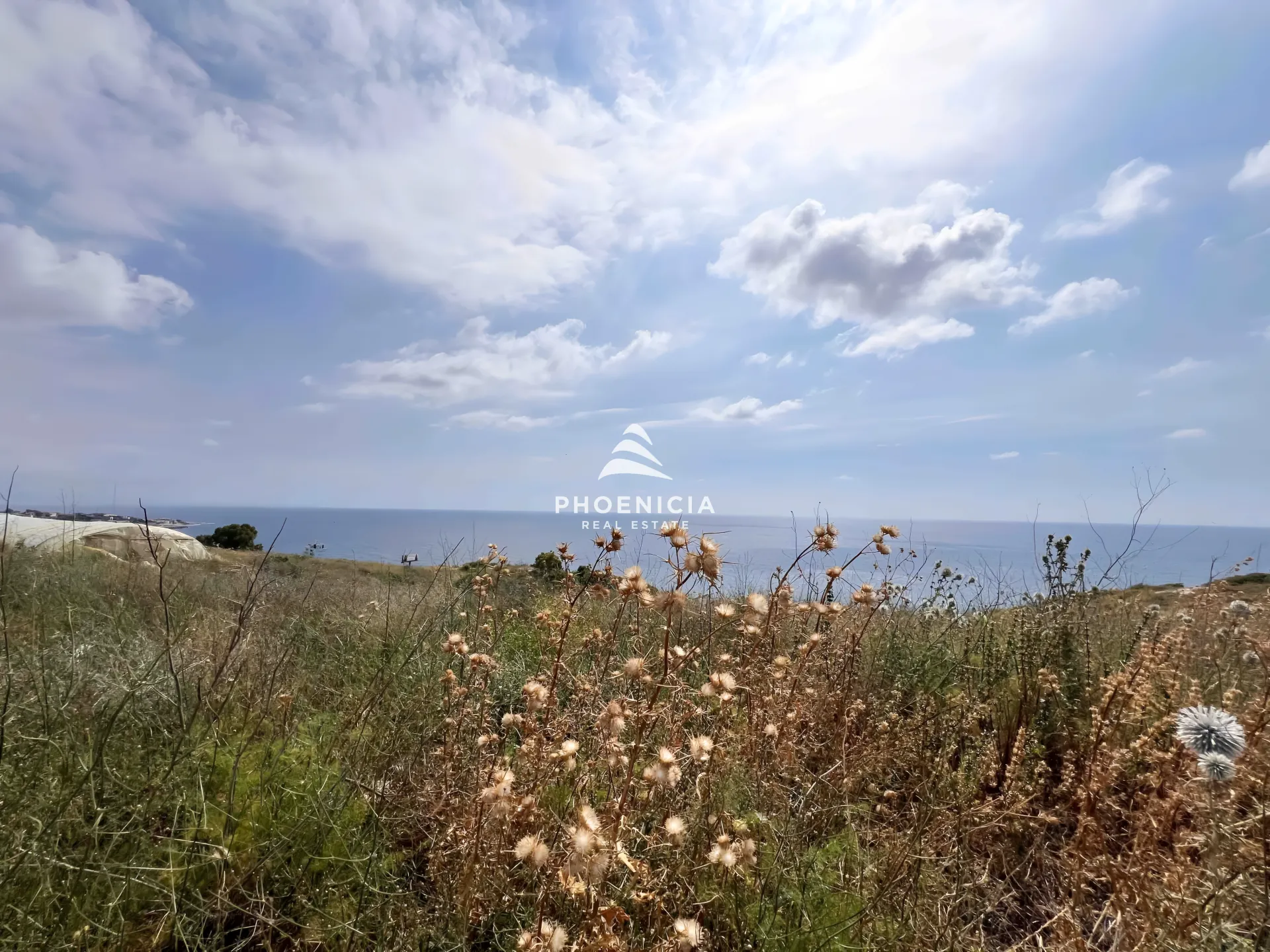 Land for Sale in Rihaniyye