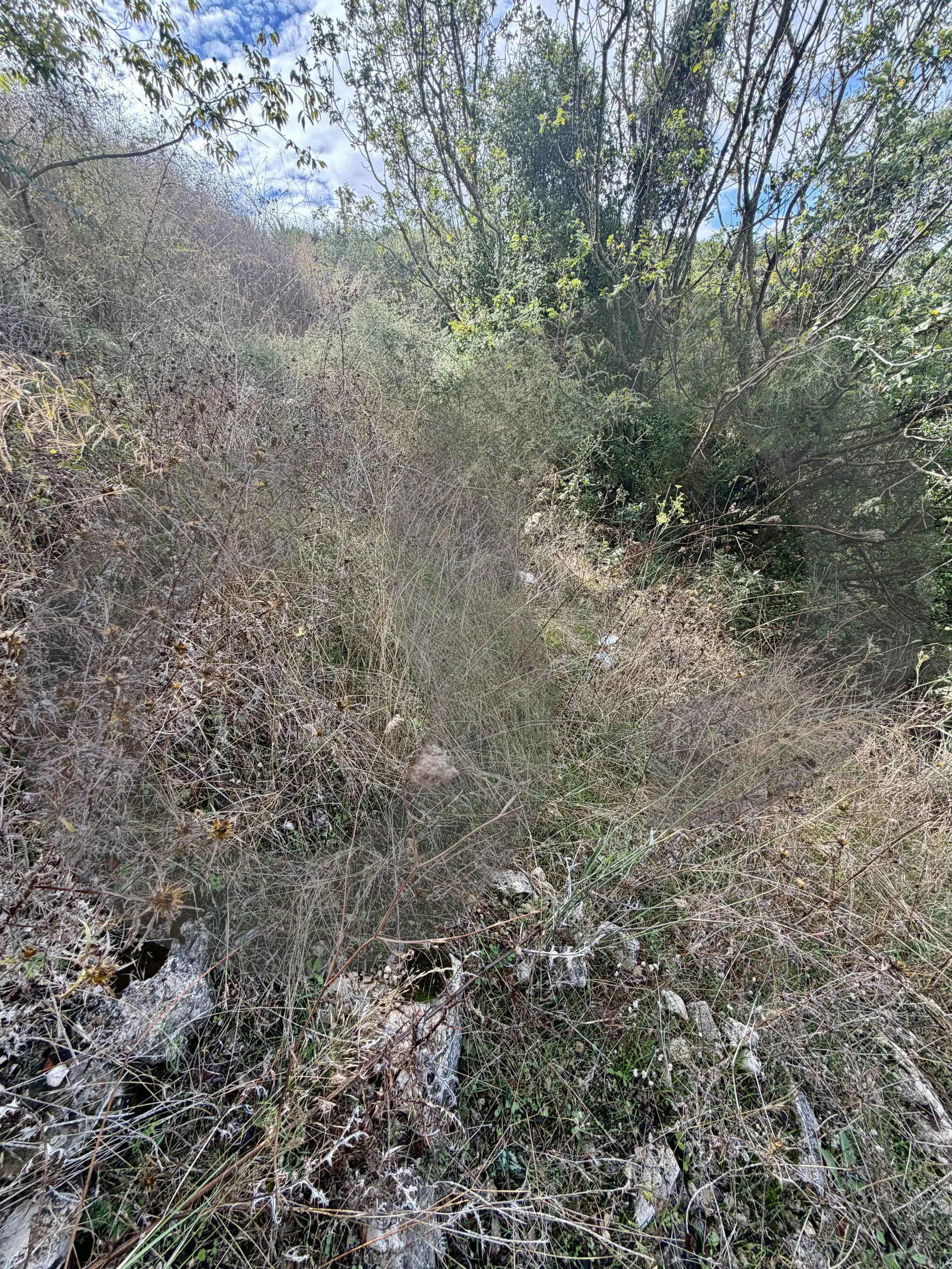Land for Sale in Kfour