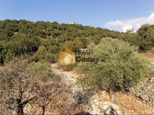 Land for sale in Kfar Chlaimane Batroun North, Lebanon