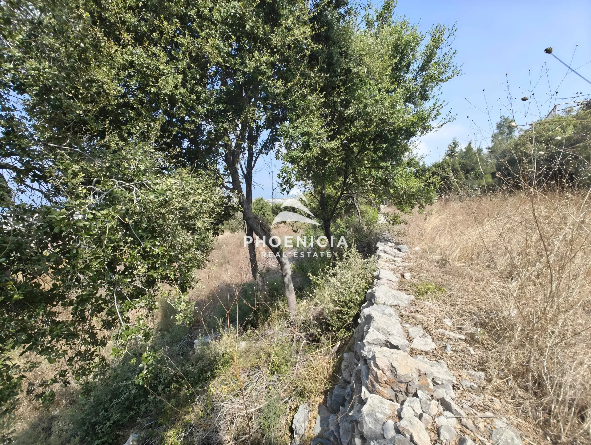 Residential Land for sale in Kfar Mashoun, Lebanon