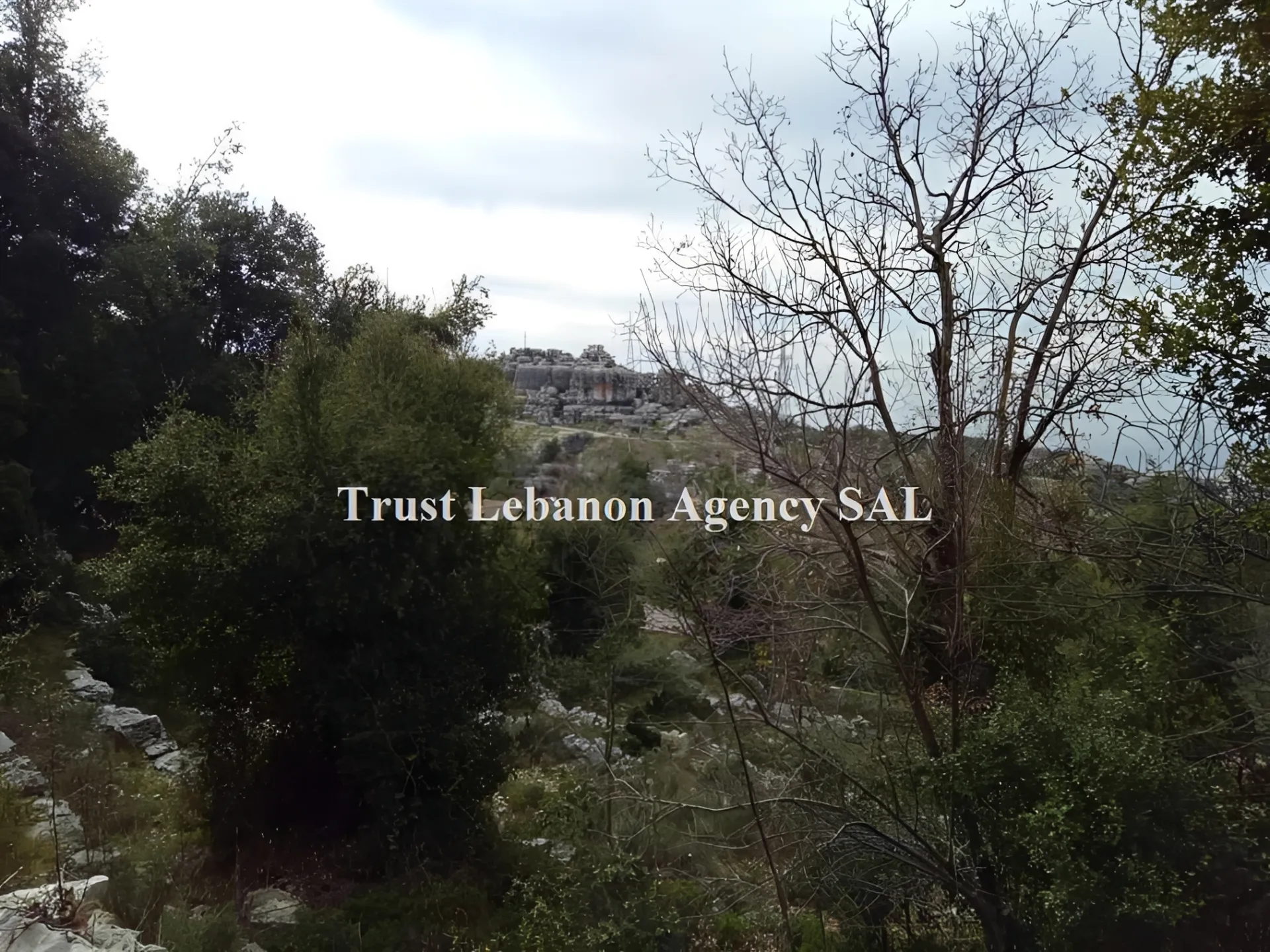 Land for Rent in Keserwan Ashkout Lebanon