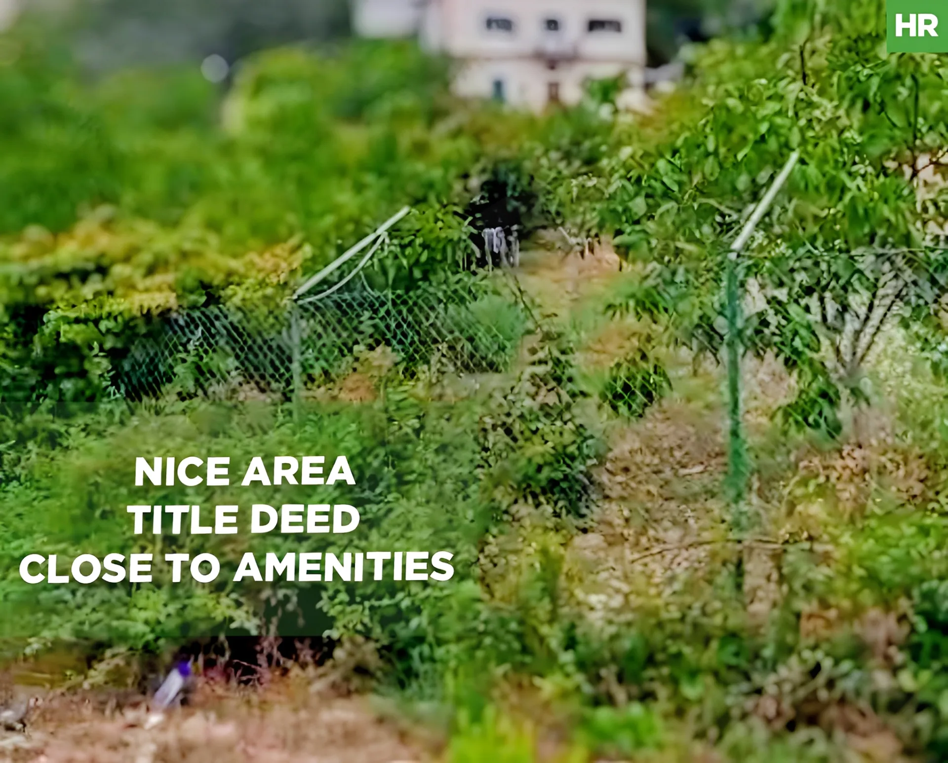 Land for Sale in Hammana