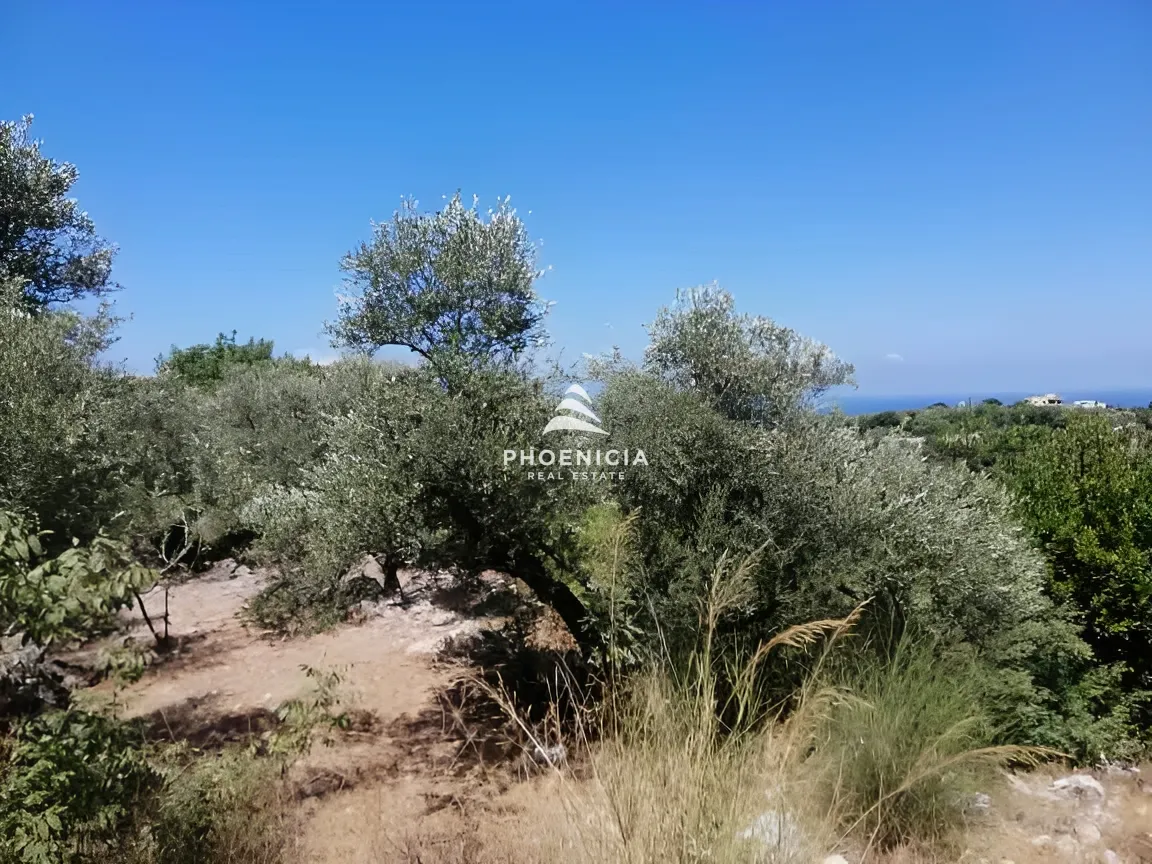 Land for Sale in Monsef
