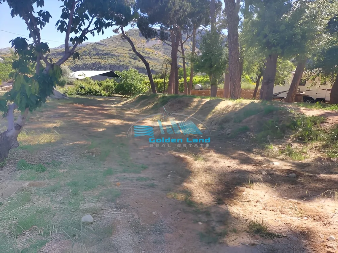 Land for Sale in Hammana, Lebanon