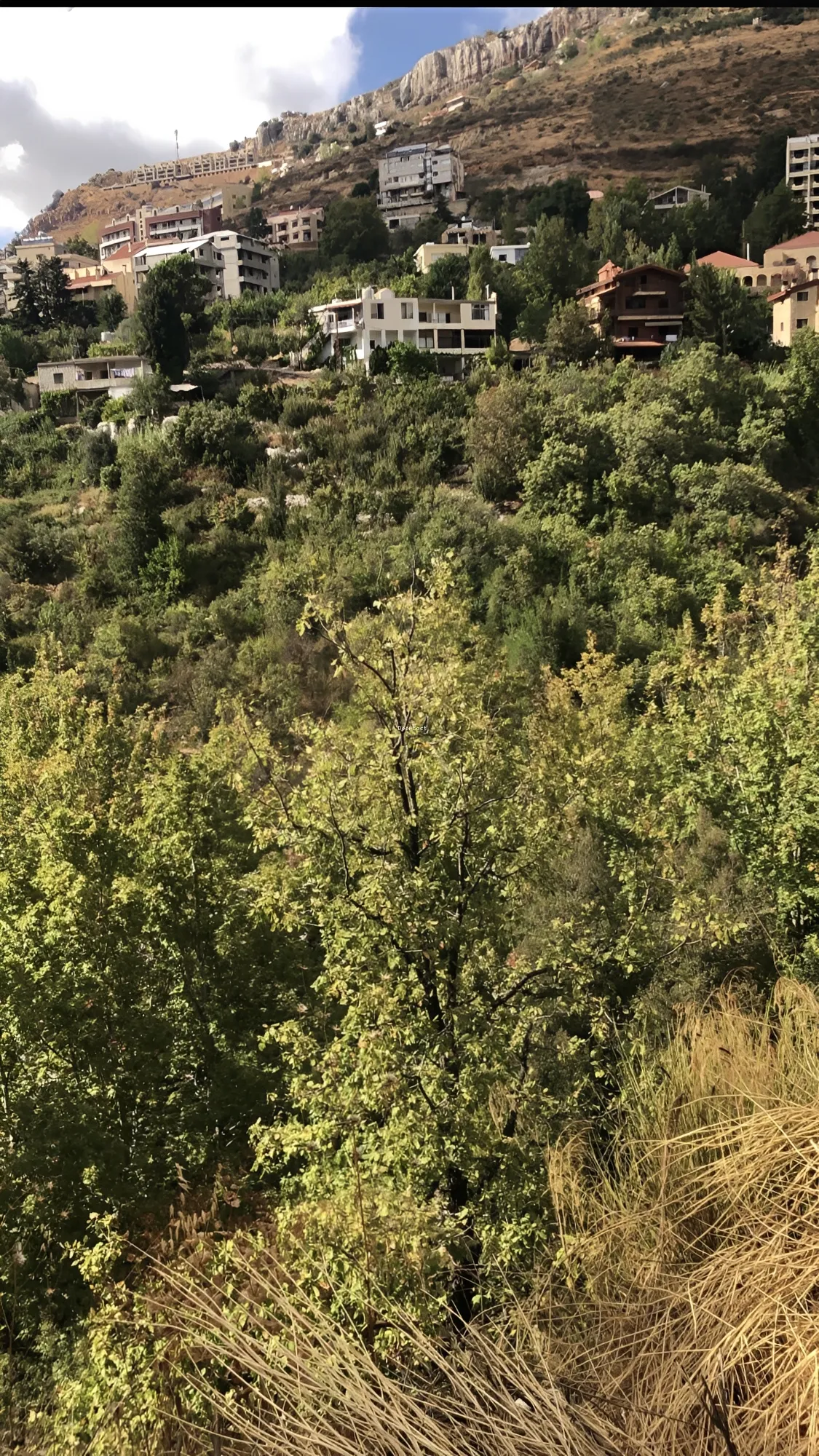 Land for sale in Faraya, lebanon