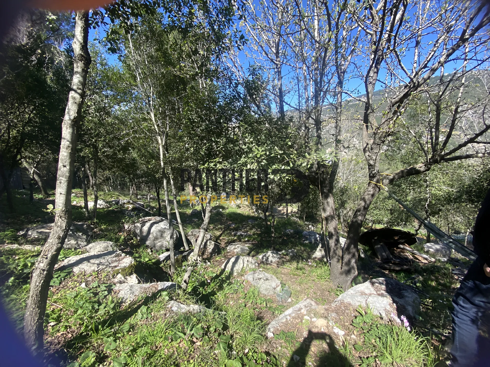 Land for sale in Salima, lebanon
