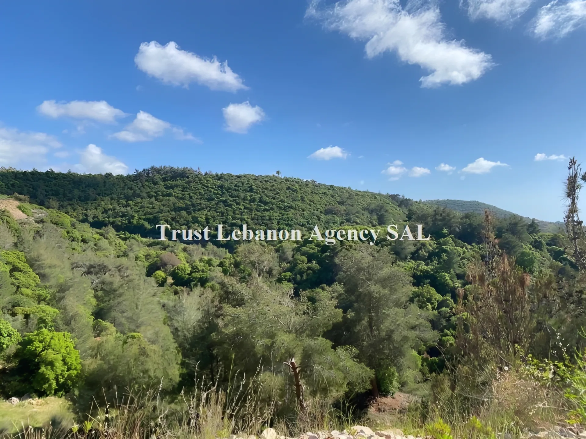 Land for Sale in Chouf Daher Al Maghara