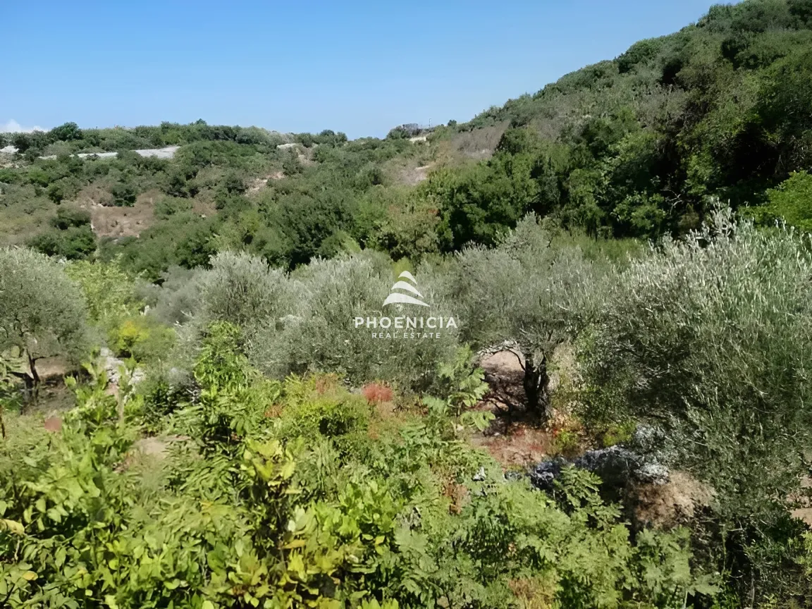 Land for Sale in Monsef