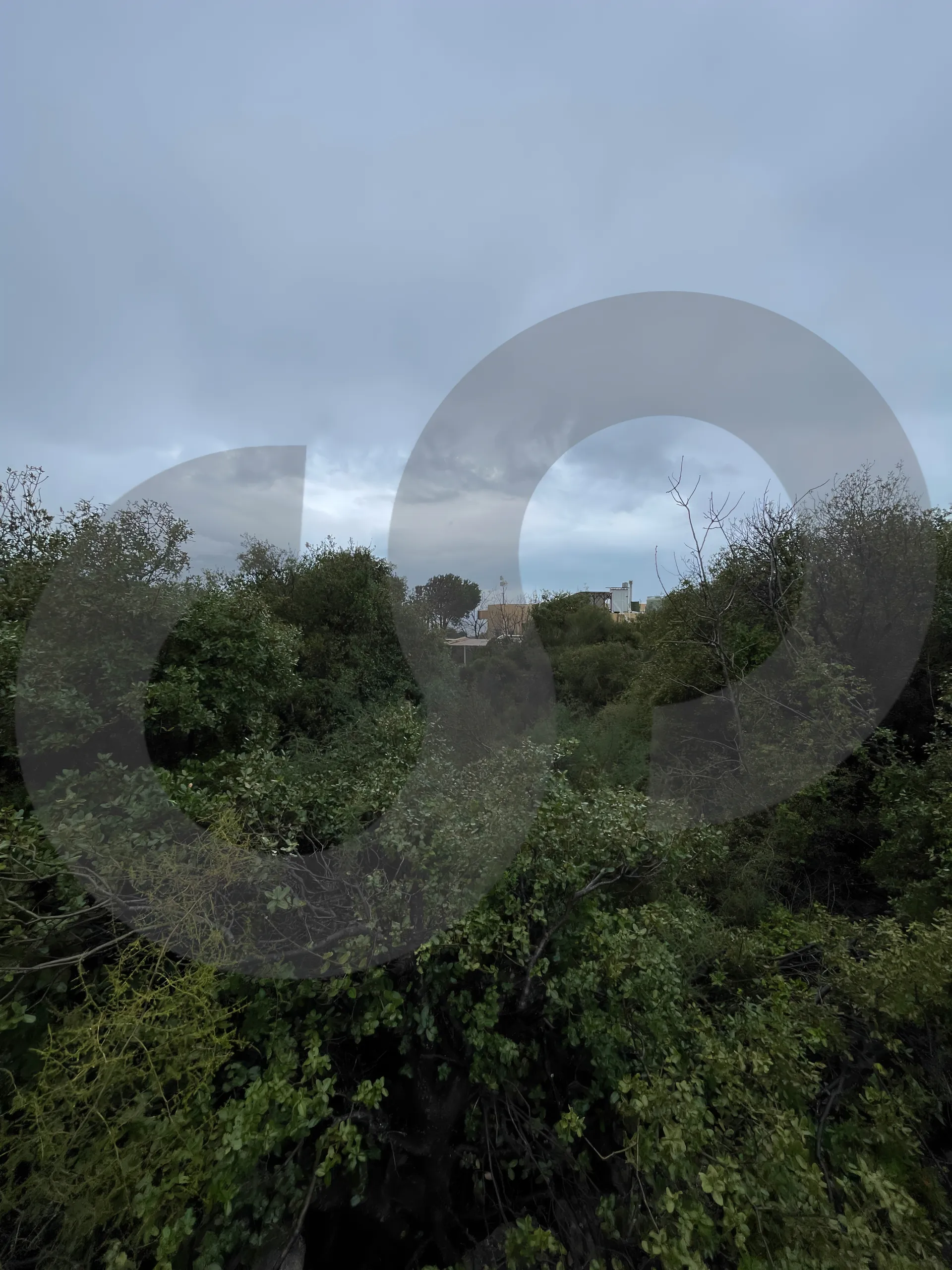 Land for Sale in Byblos