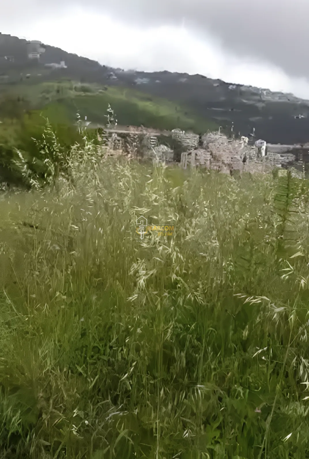 Land for Sale in Ain Aalaq