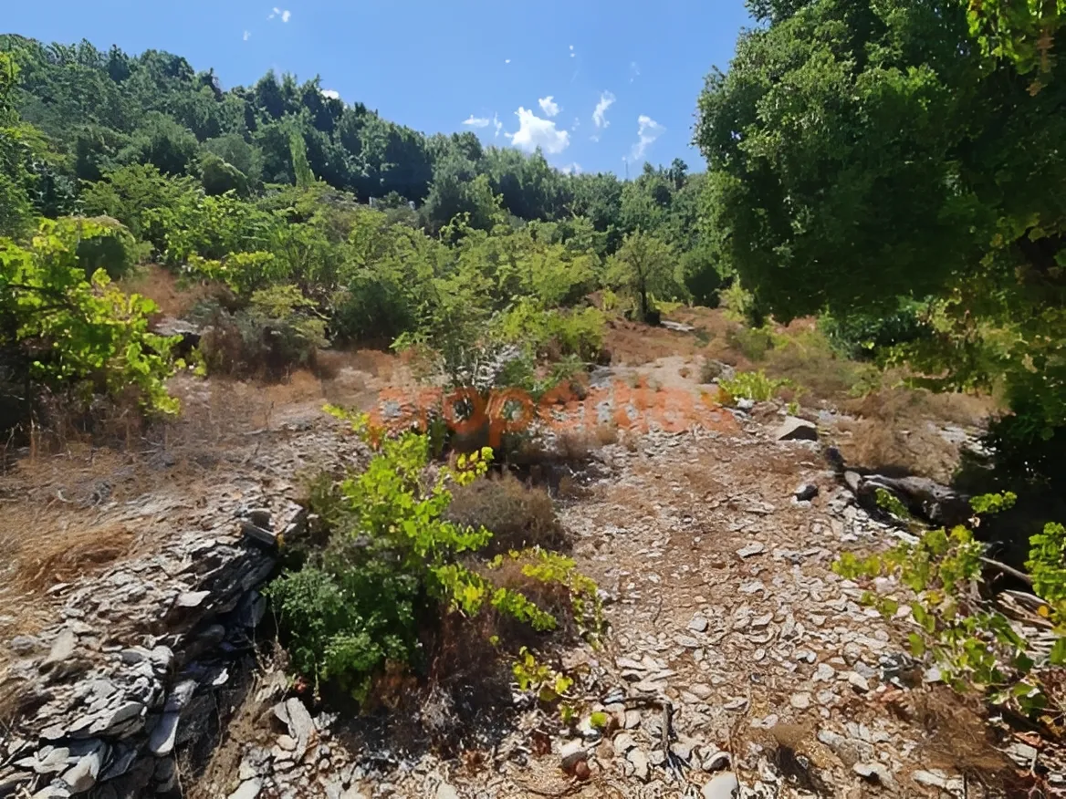 Land for Sale in Lehfed