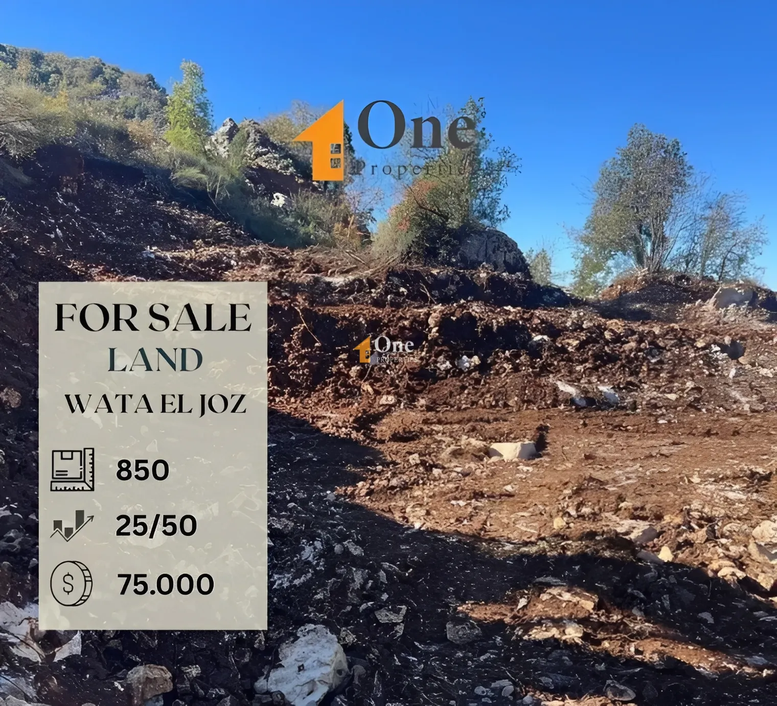 Land for Sale in Wata El Jaouz, Lebanon