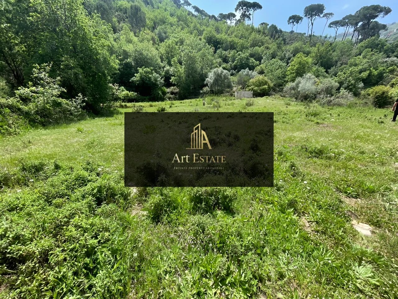 Land for sale in Ras el harf, lebanon