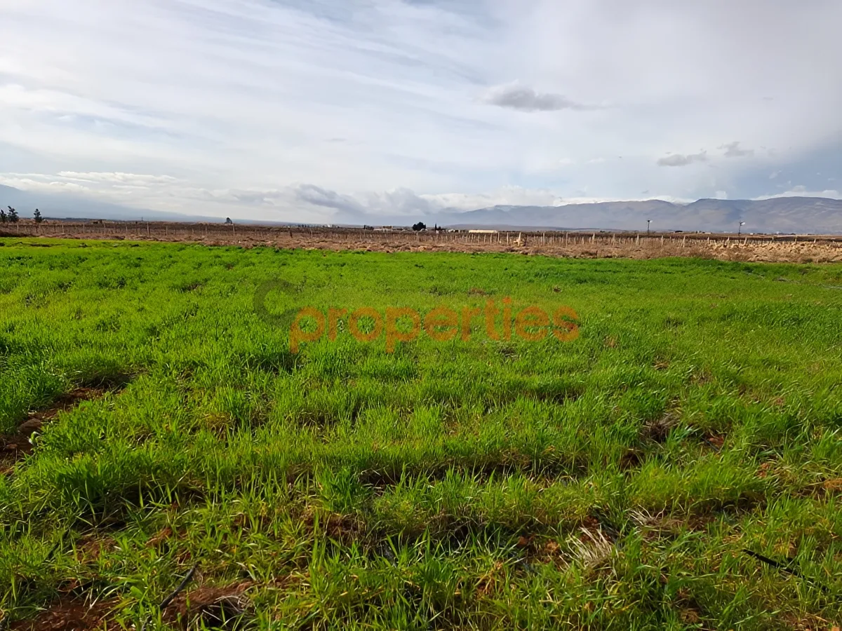 Land for Sale in Western Beqaa District