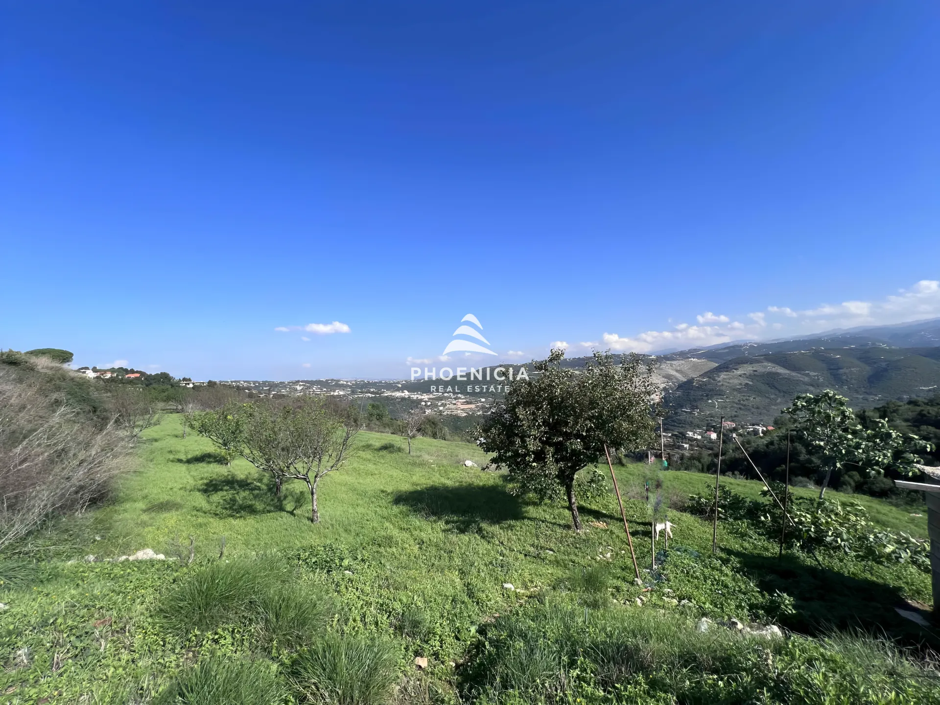 Land for Sale in Maad