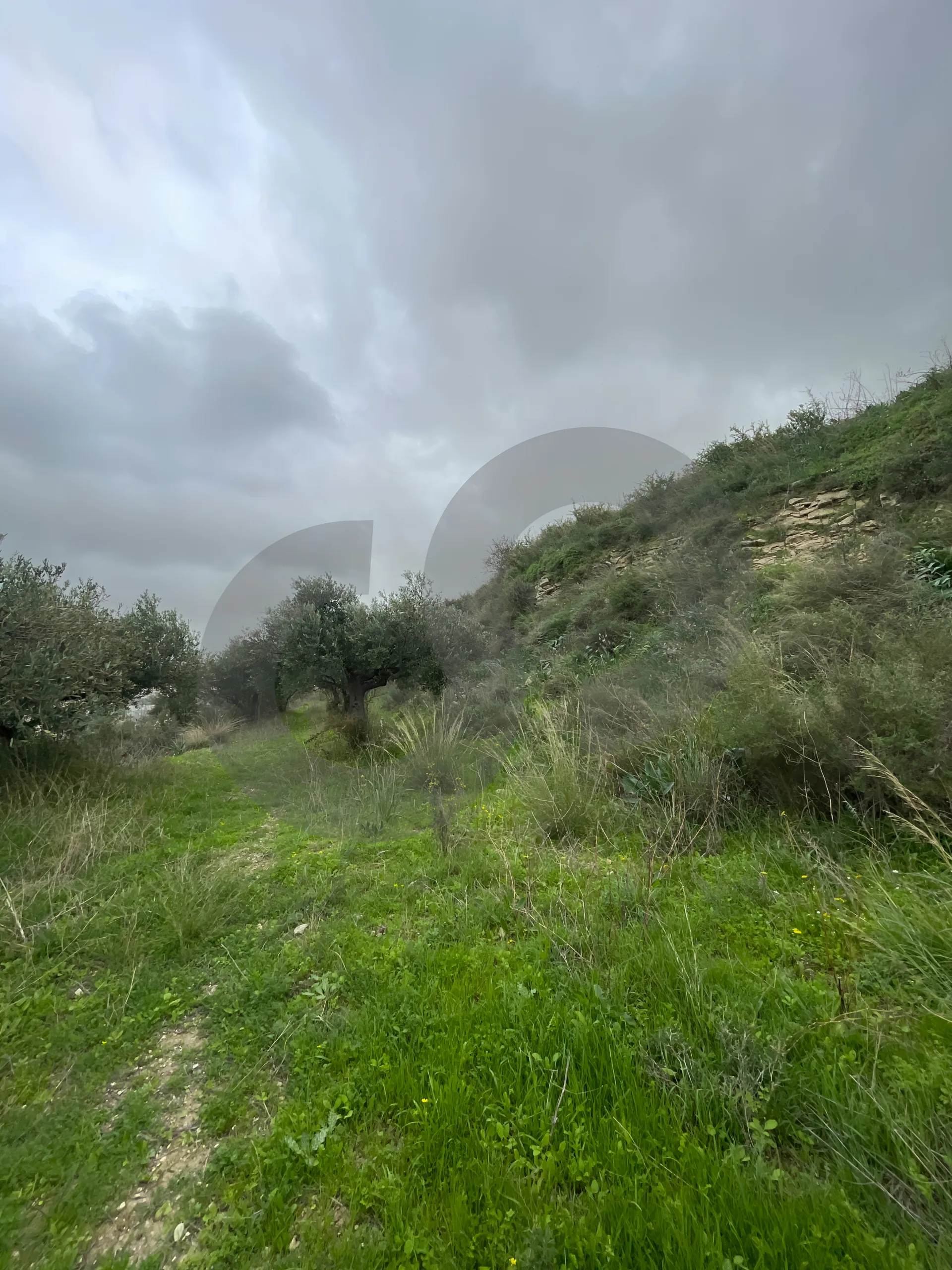 Land for Sale in Chekka