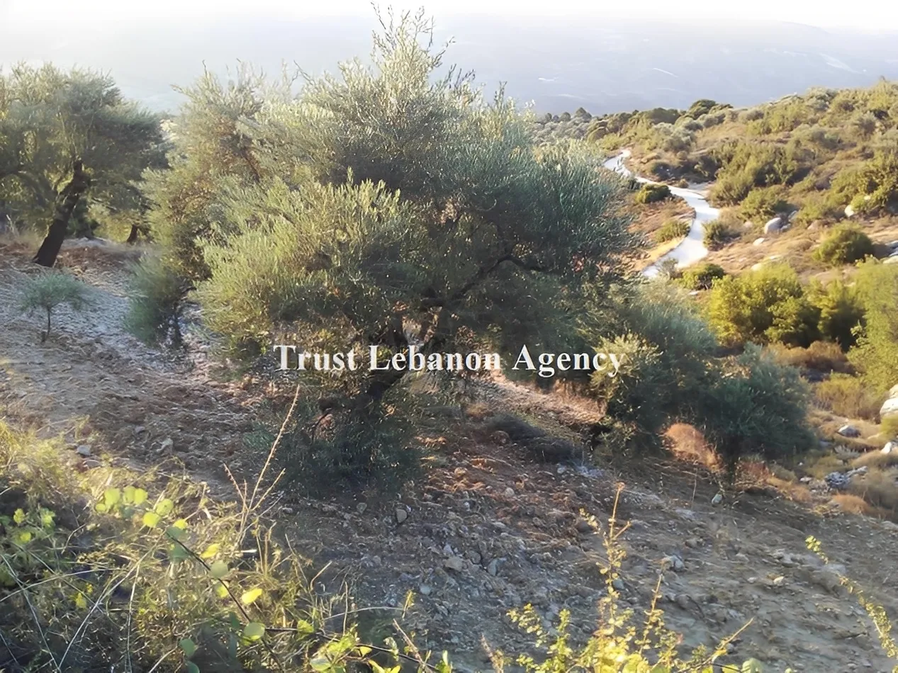 Land for Sale in Hasbaya Al kfeir Lebanon