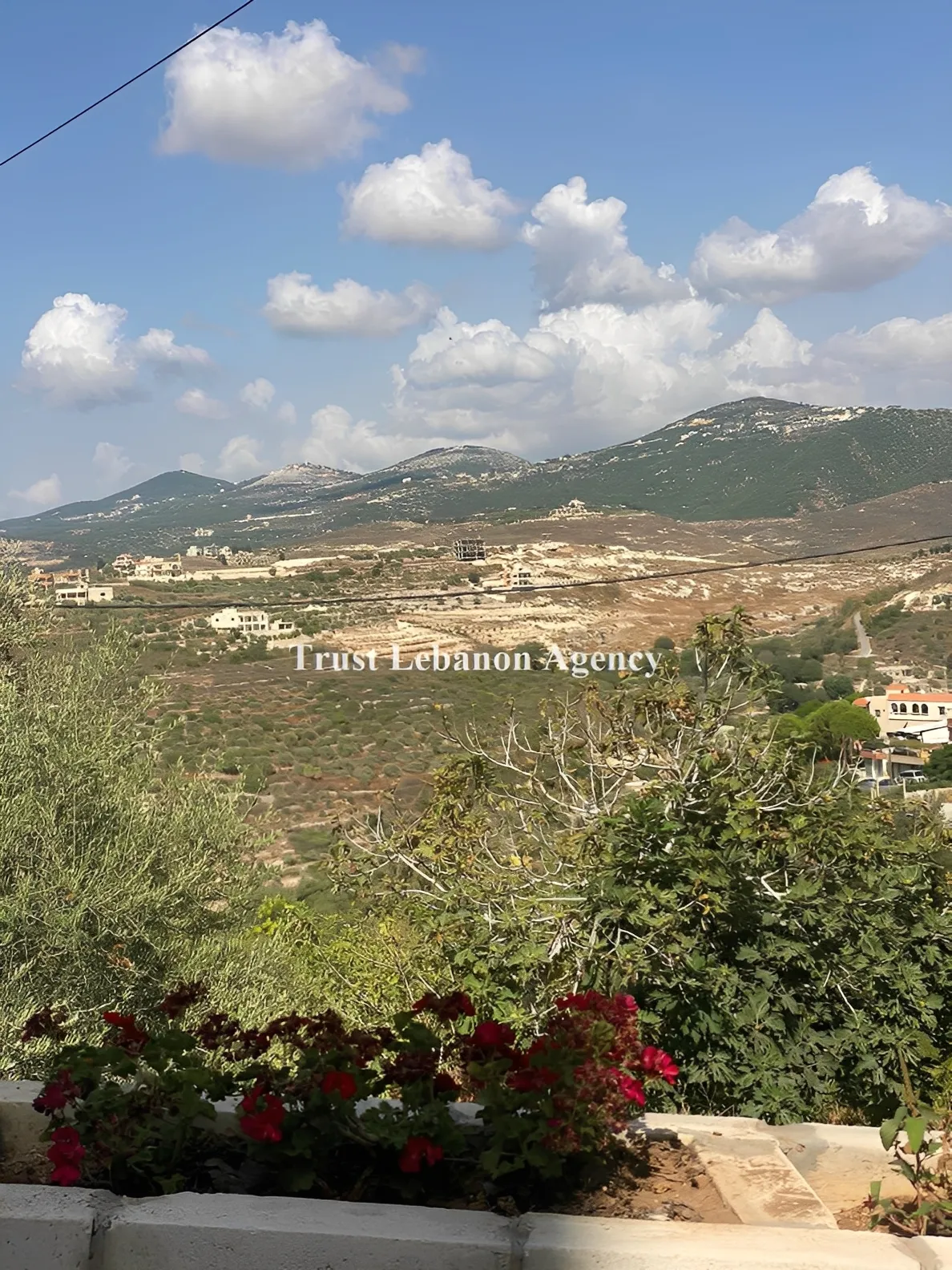 Land for Sale in Nabatiye