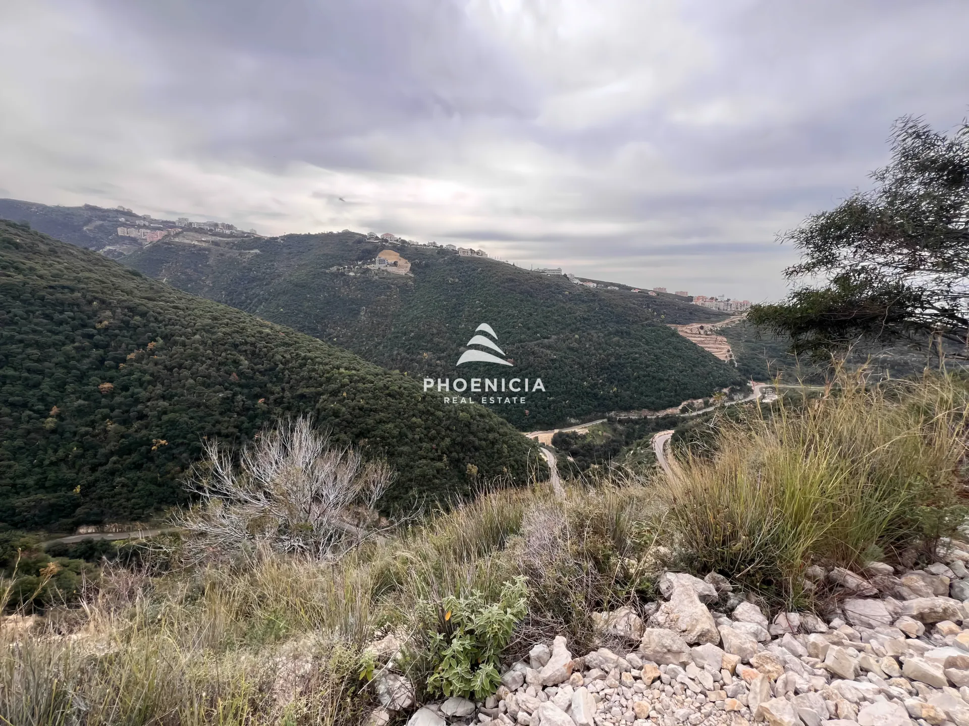 Land for Sale in Edde