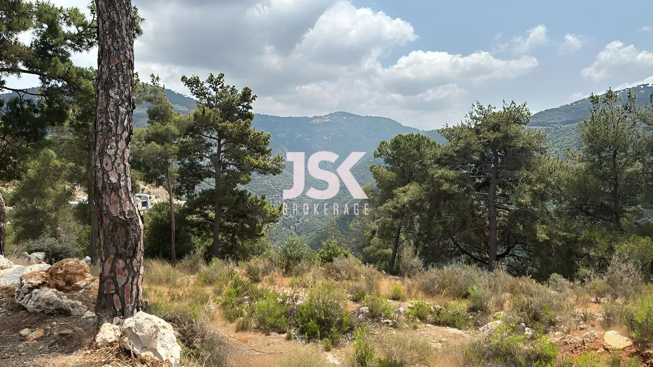 Land for Sale in Beit Meri