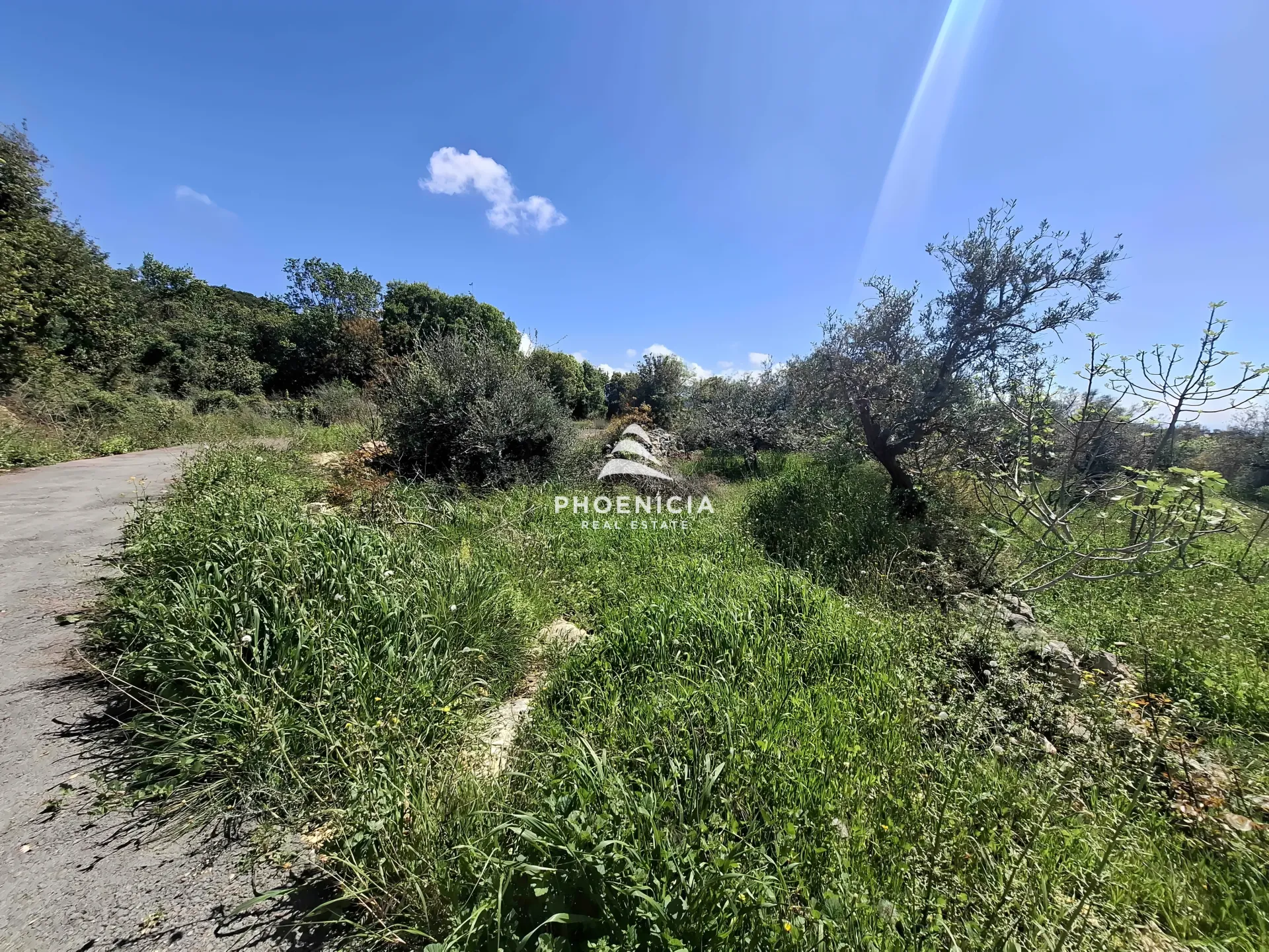 Land for Sale in Monsef