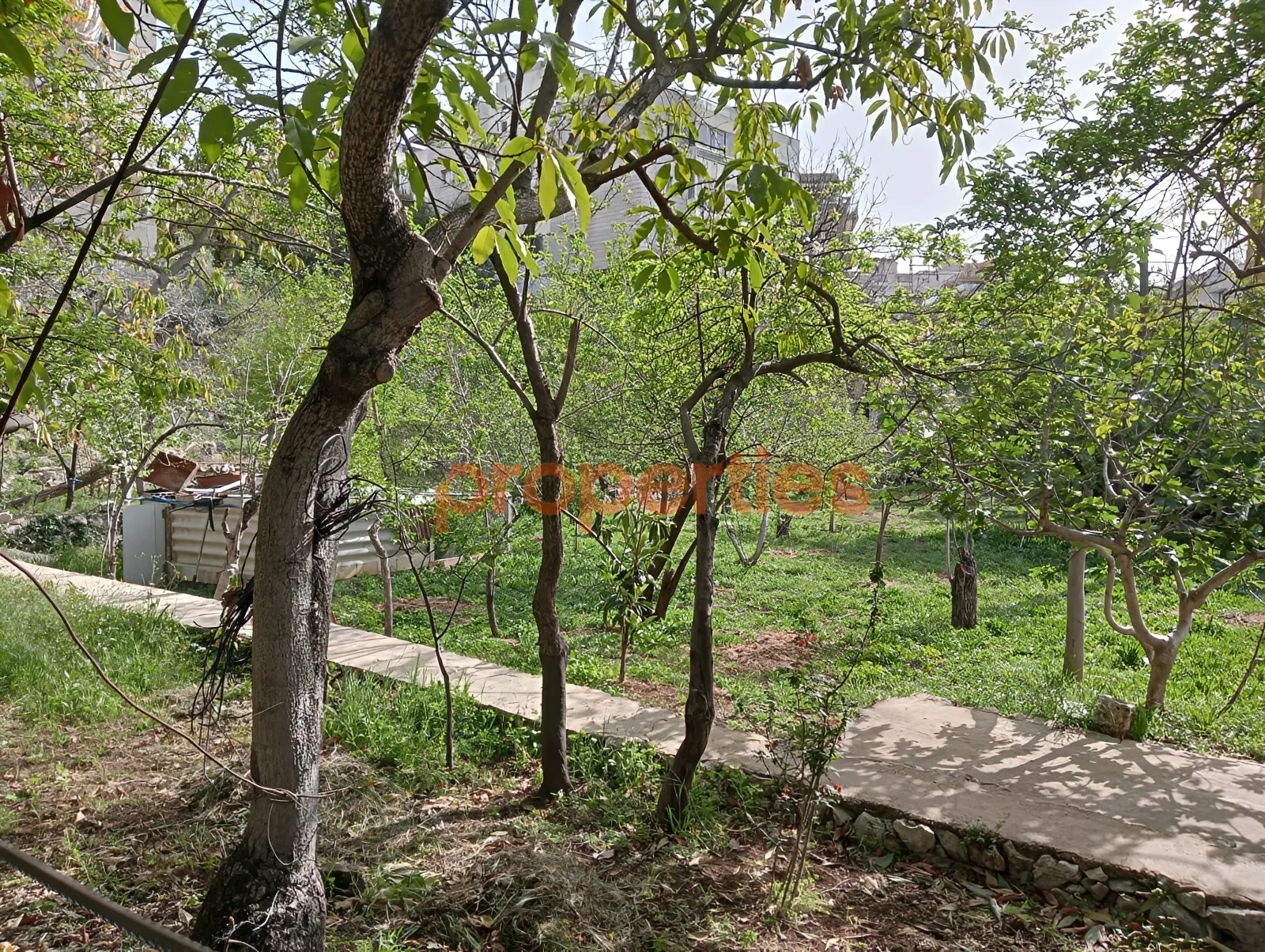 Residential Land for Rent in Ballouneh