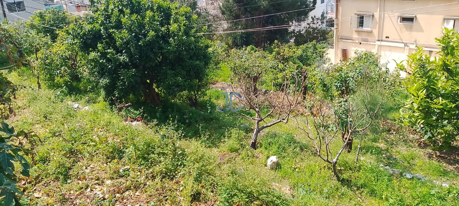 Land for sale in Sahel alma, lebanon