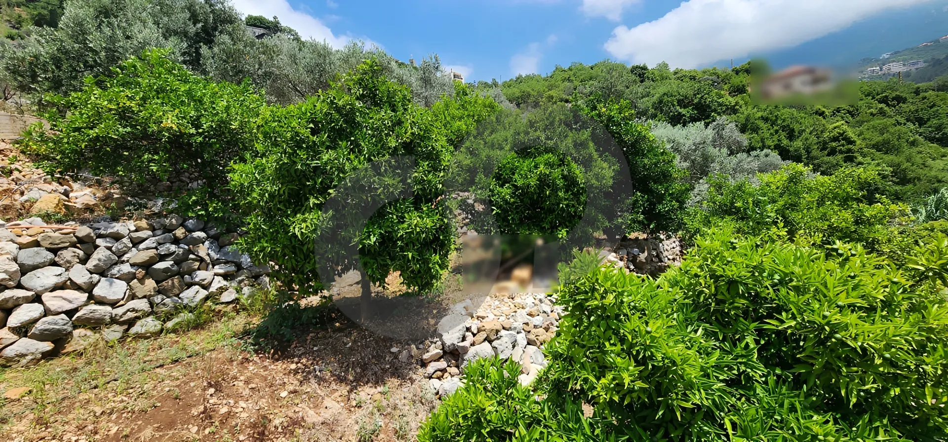 Land for Sale in Byblos