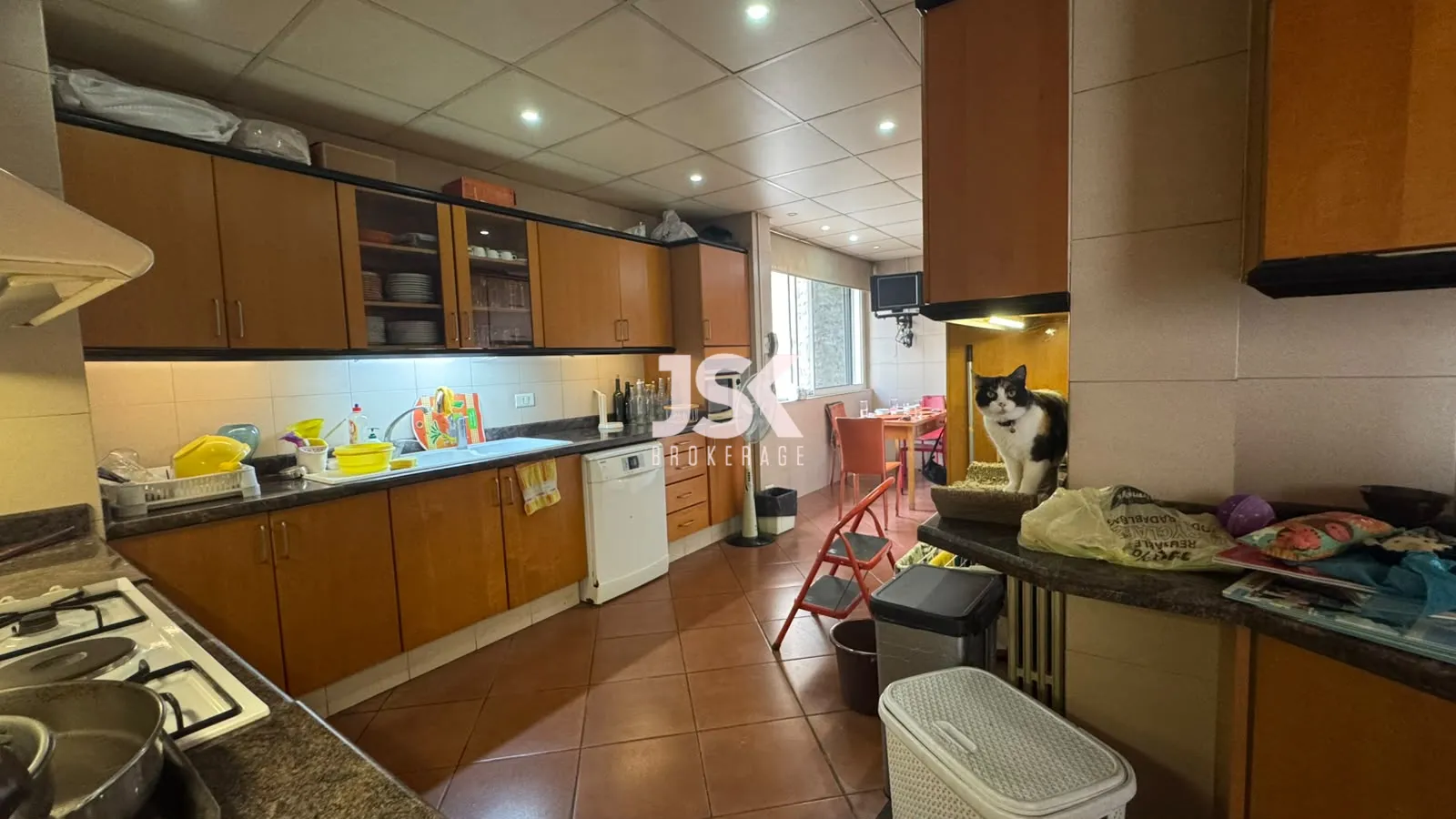 Apartment for Sale in Jal El Dib