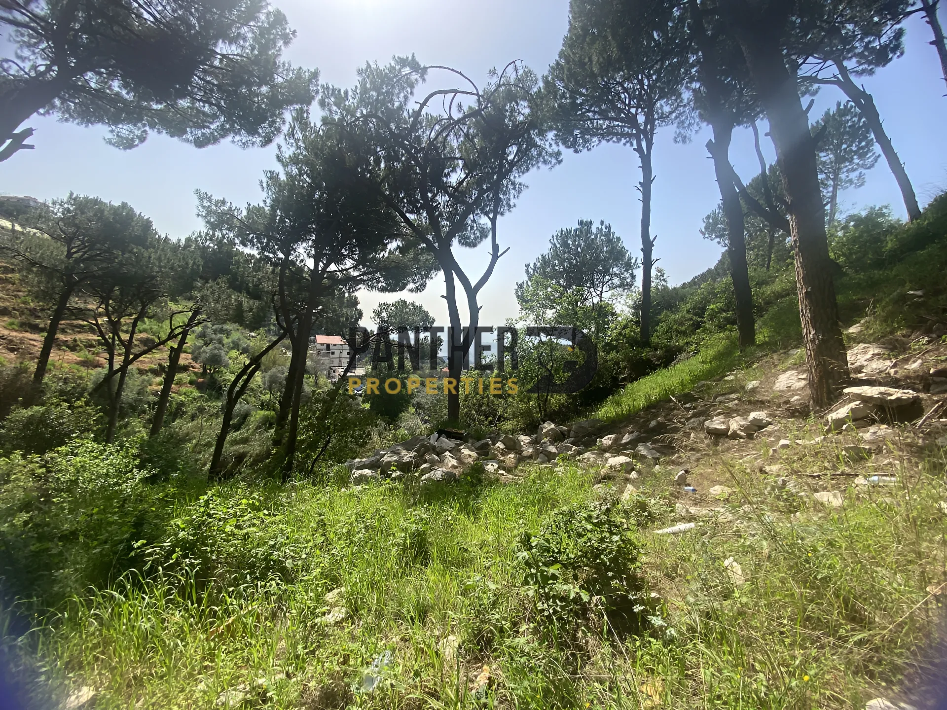 Land for sale in Ain saadeh, lebanon