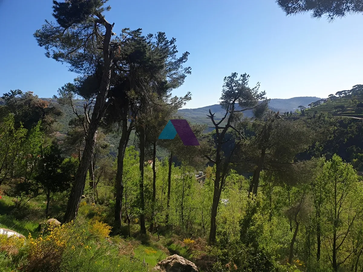 Land for Sale in Baskinta