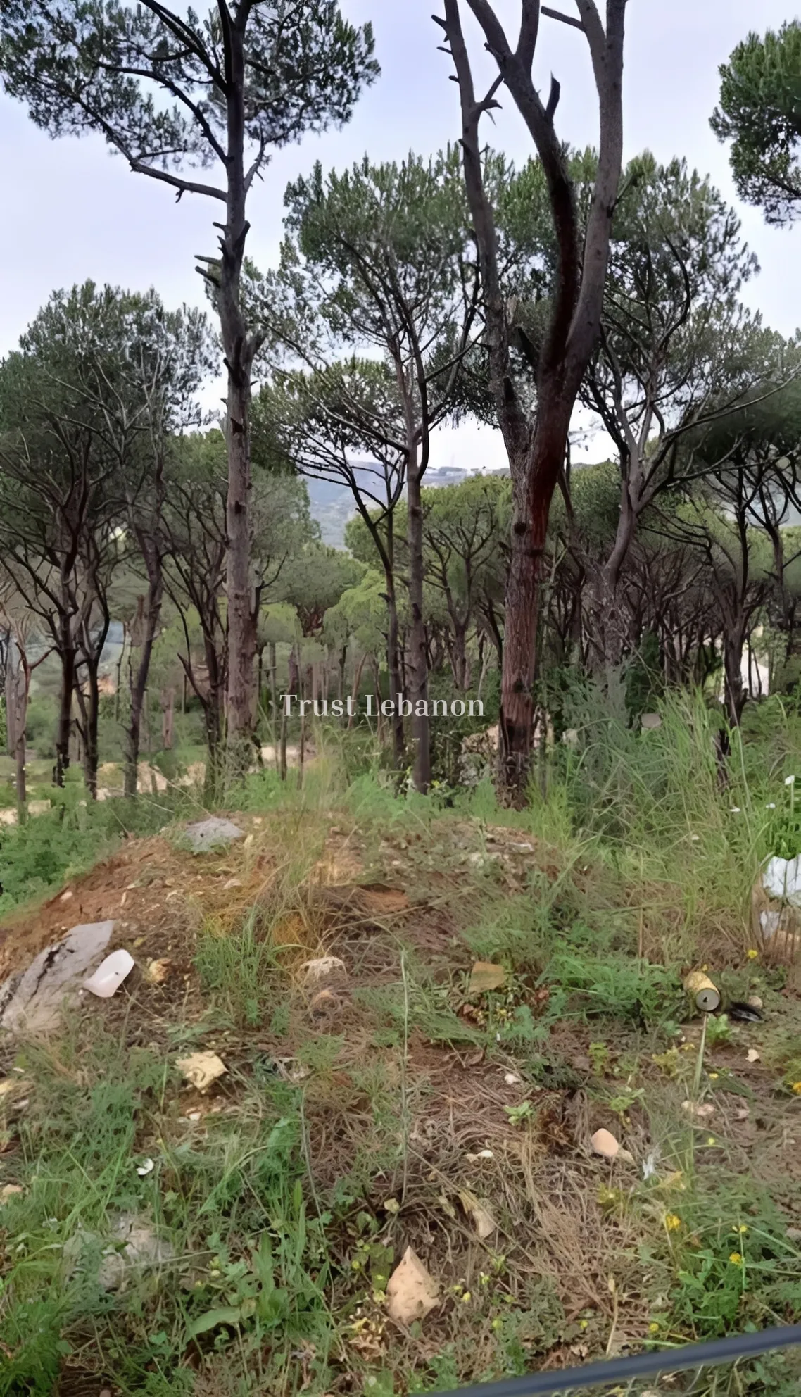 Residential Land for sale in Aley, Lebanon